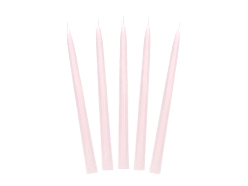 Kaarsen Licht Roze 24cm 10st van Partydeco koop je bij Partywinkel
