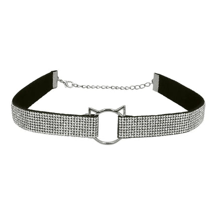 Kat Accessoireset Glitters 2 delig van Boland koop je bij Partywinkel