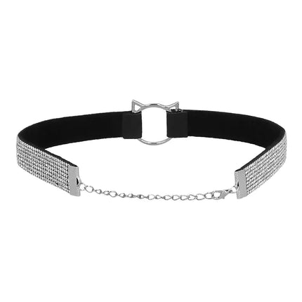 Kat Accessoireset Glitters 2 delig van Boland koop je bij Partywinkel