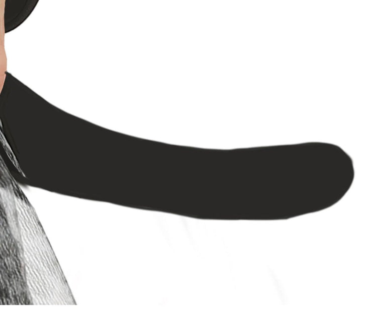 Kat Kostuum Baby van Fiestas Guirca koop je bij Partywinkel