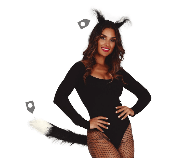 Katten Set Zwart 2 delig van Fiestas Guirca koop je bij Partywinkel