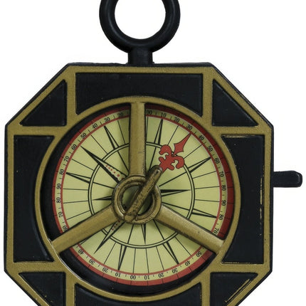 Kompas 10cm van Fiestas Guirca koop je bij Partywinkel