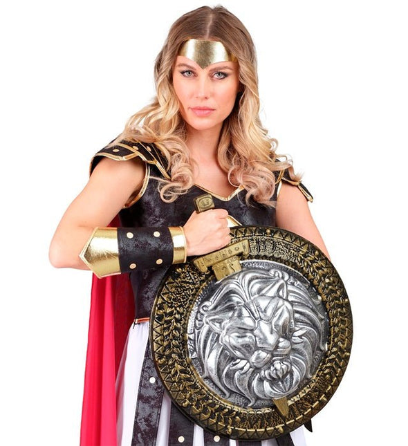 Leeuwenhart Schild en Zwaard van Widmann koop je bij Partywinkel