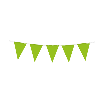 Lichtgroene Slinger Mini 3m - Partywinkel - 8716764246210
