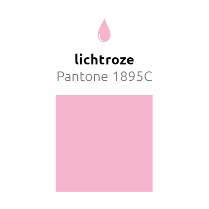 Lichtroze Ballonnen 30cm 10st - Partywinkel - 8436540889768