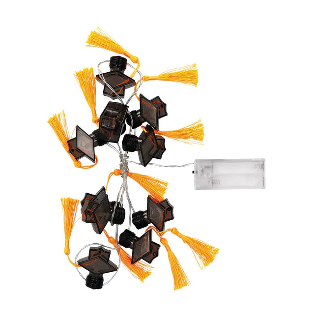 Lichtslinger LED Geslaagd 1,4m van Boland koop je bij Partywinkel