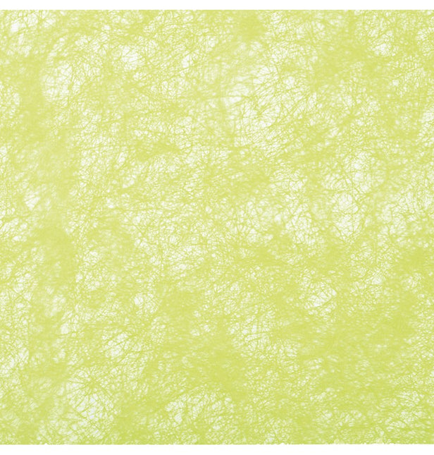 Cinta Verde Lima 10m