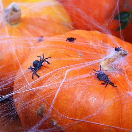 Nep Spinnen 3cm 10st van Partydeco koop je bij Partywinkel