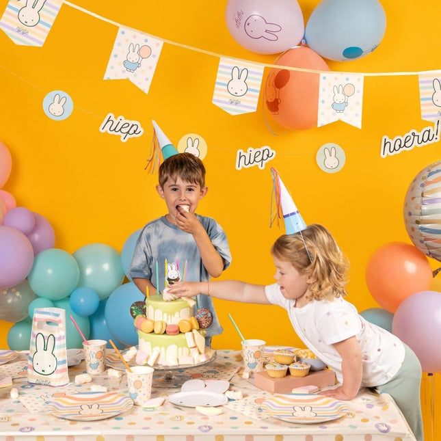 Nijntje Letterslinger Gekleurd 2,65m van Haza Witbaard koop je bij Partywinkel