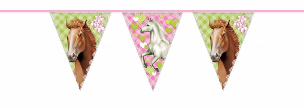 Paarden Slingers Party 6m van Haza Witbaard koop je bij Partywinkel