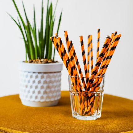 Papieren Rietjes Oranje/Zwart Gestreept 19,7cm 20st van WeFiesta koop je bij Partywinkel