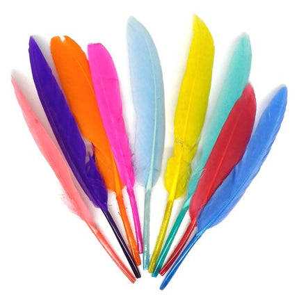 Plumas de colores (100 uds.)