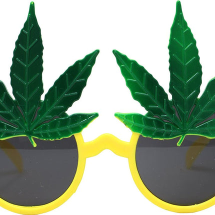 Rasta Bril van Fiestas Guirca koop je bij Partywinkel