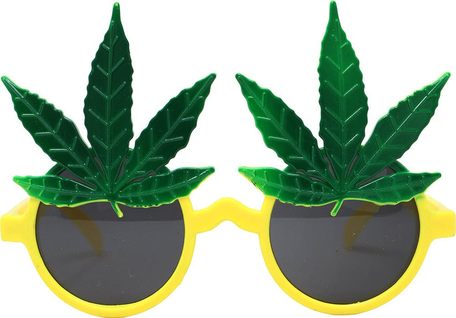 Rasta Bril van Fiestas Guirca koop je bij Partywinkel