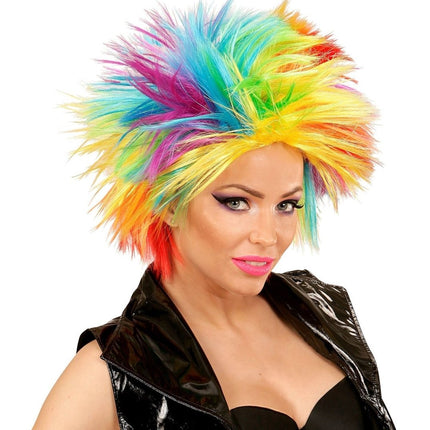 Regenboog Pruik van Widmann koop je bij Partywinkel