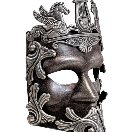Romein Masker Zilver van Widmann koop je bij Partywinkel