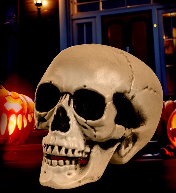 SCHEDEL MET BEWEEGBARE KAAK 28 CM van Widmann koop je bij Partywinkel