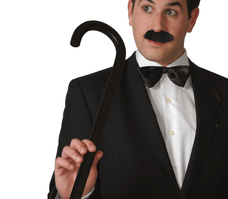 Stripacteur Wandelstok 80cm van Fiestas Guirca koop je bij Partywinkel