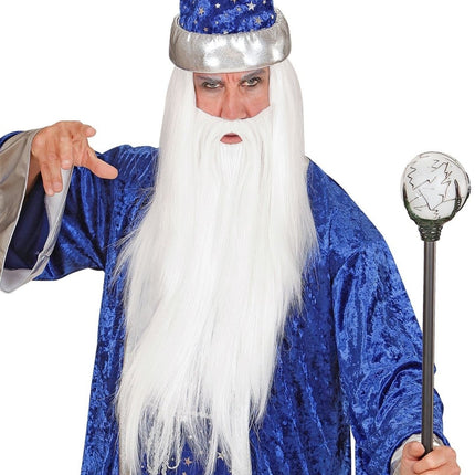 Tovenaar Pruik Met Baard van Widmann koop je bij Partywinkel