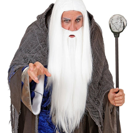 Tovenaar Pruik Met Baard van Widmann koop je bij Partywinkel