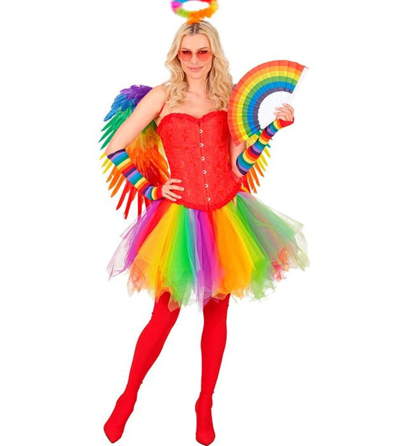 Tutu Regenboog van Widmann koop je bij Partywinkel