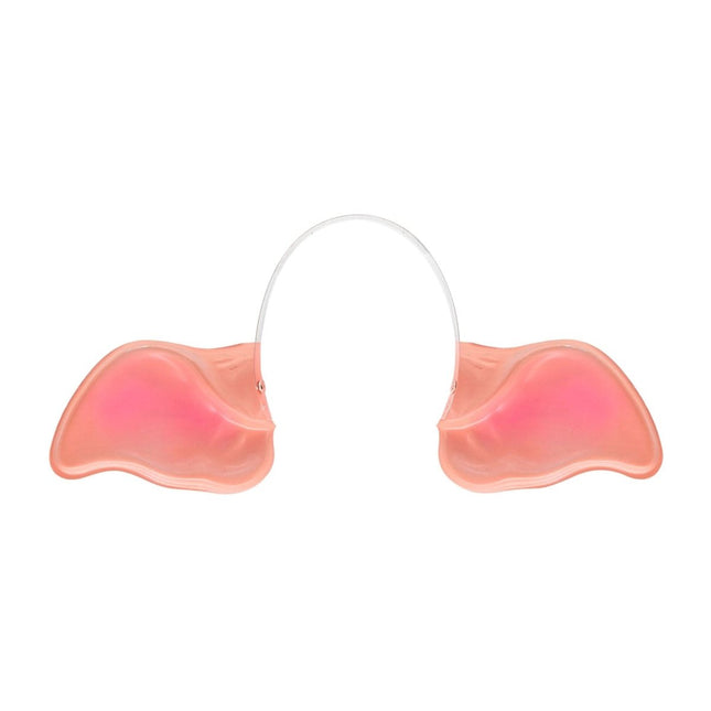 Varken Oren van Widmann koop je bij Partywinkel