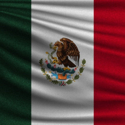 Vlag Mexico 150cm van Partychimp koop je bij Partywinkel
