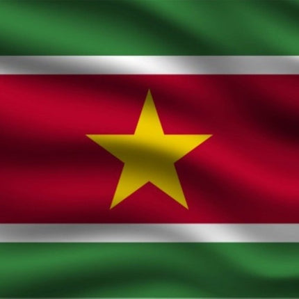 Vlag Suriname 150cm van Partychimp koop je bij Partywinkel