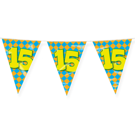 Vlaggenlijn 15 Jaar Gekleurd 10m van Paper Dreams koop je bij Partywinkel