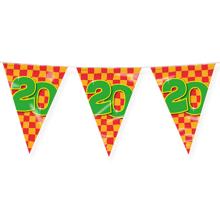 Vlaggenlijn 20 Jaar Gekleurd 10m van Paper Dreams koop je bij Partywinkel