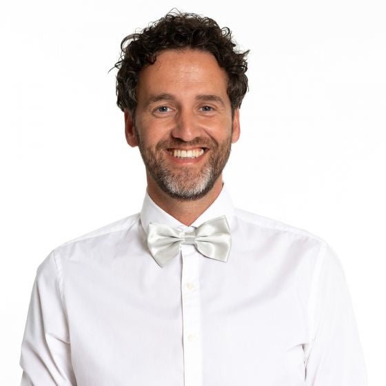 Zilveren Vlinderdas van Partychimp koop je bij Partywinkel