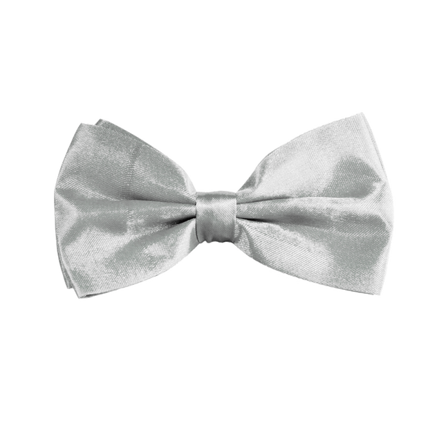 Zilveren Vlinderdas van Partychimp koop je bij Partywinkel