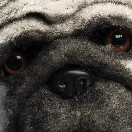 Zwart Witte Masker Mops Hond van Boland koop je bij Partywinkel